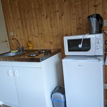 Au Petit Chalet D'Illiers Combray - Salle D'Eau Uniquement Eksteriør billede